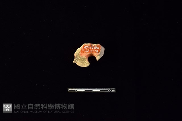 陶片藏品圖，第2張