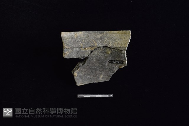 陶罐藏品圖，第2張