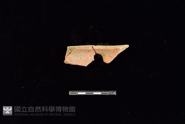 陶片藏品圖，第2張