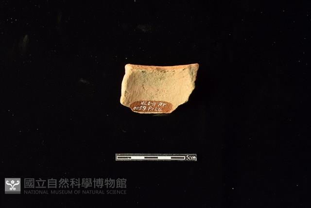 陶片藏品圖，第2張