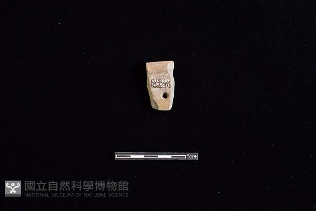 陶片藏品圖，第2張