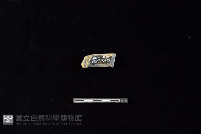 陶把藏品圖，第2張