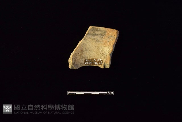 陶罐藏品圖，第2張