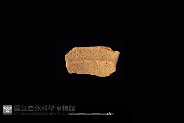 陶罐藏品圖，第2張