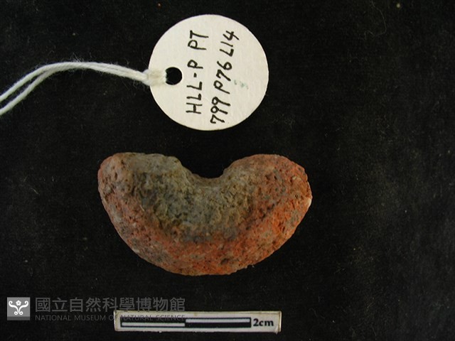 陶紡輪藏品圖，第2張