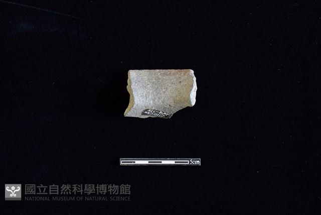 陶罐藏品圖，第2張