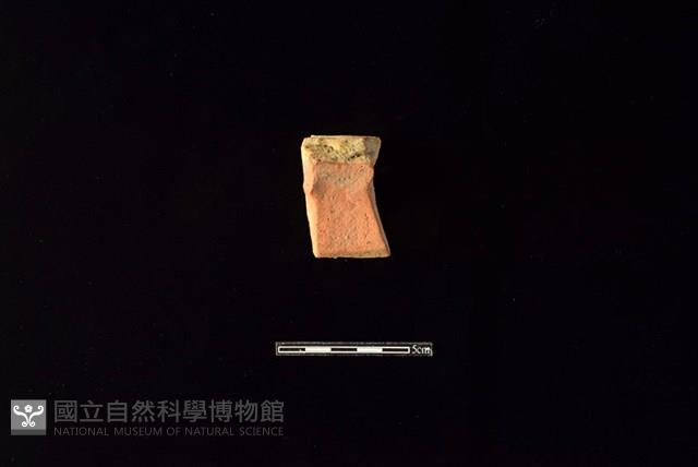 陶片藏品圖，第2張