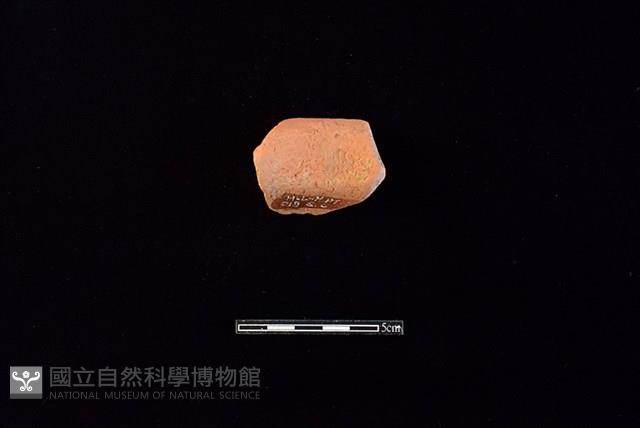 陶片藏品圖，第2張