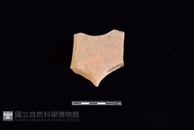 Accession Number:HLL-H PT1019 Collection Image, Figure 2, Total 2 Figures