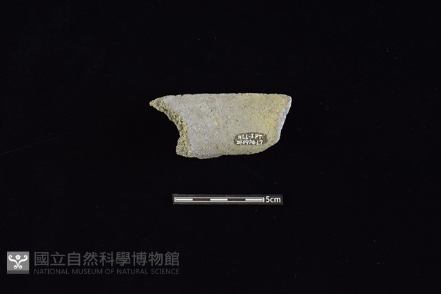 陶罐藏品圖，第2張