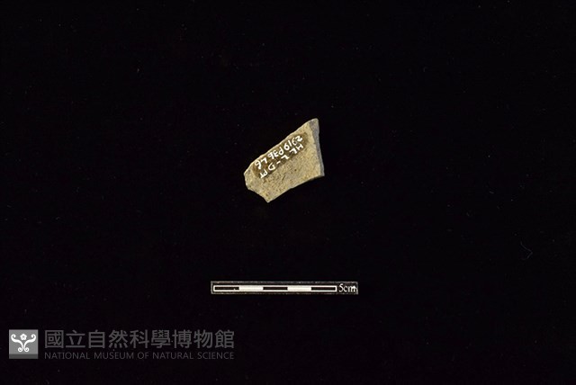 陶片藏品圖，第2張