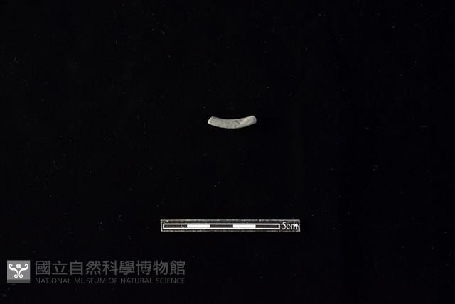 陶環藏品圖，第2張