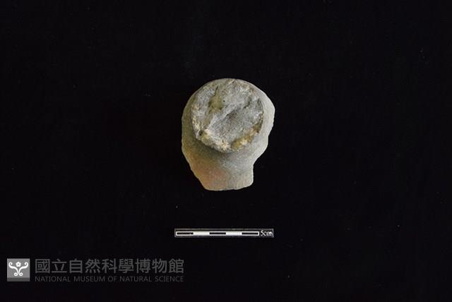 陶杯藏品圖，第2張