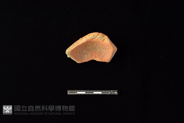 陶片藏品圖，第2張