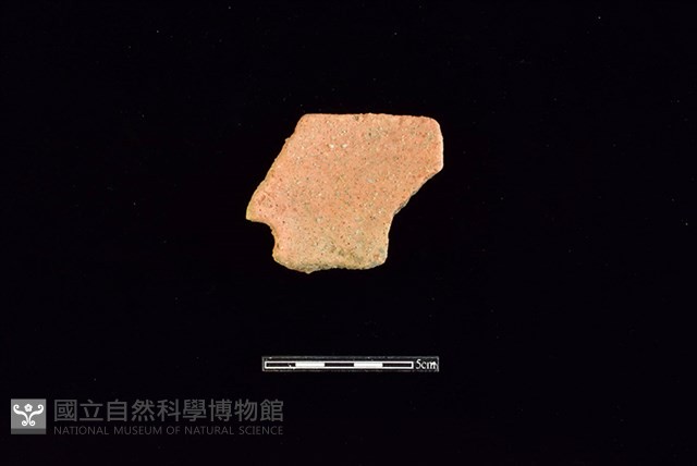 陶片藏品圖，第2張