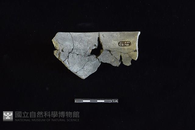 陶罐藏品圖，第2張