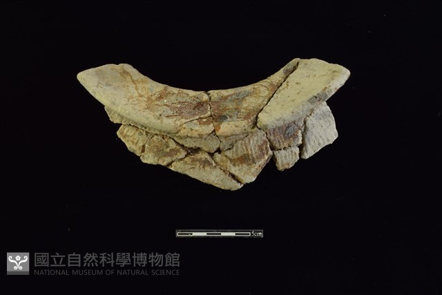 陶罐藏品圖，第2張