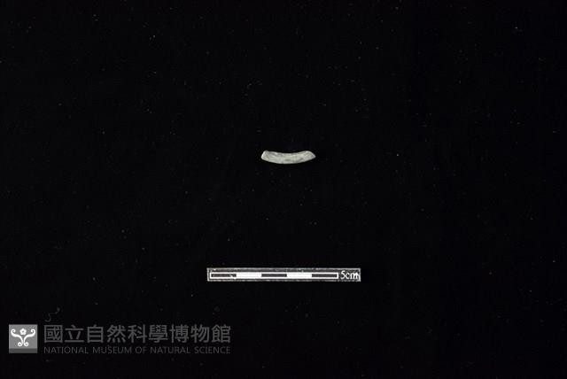 陶環藏品圖，第2張