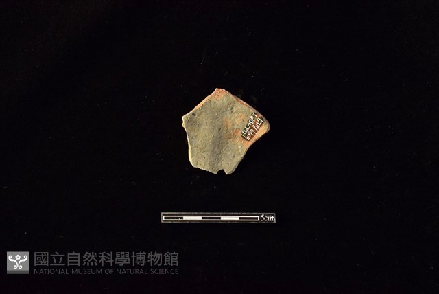 陶片藏品圖，第2張
