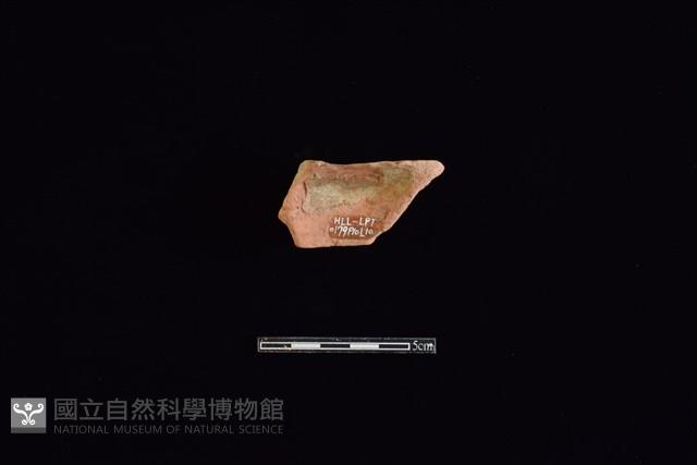 陶片藏品圖，第2張