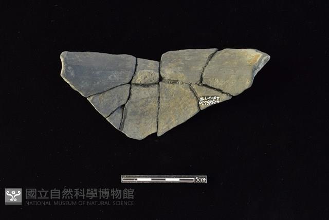 陶罐藏品圖，第2張