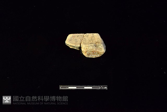 陶罐藏品圖，第2張