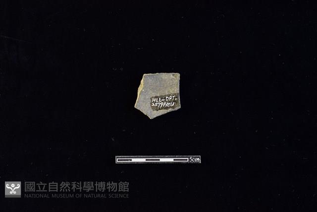 陶片藏品圖，第2張