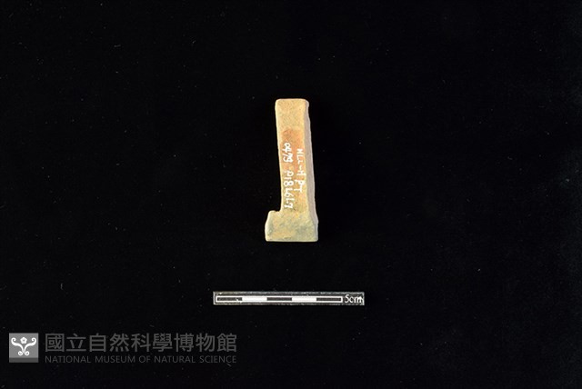 陶片藏品圖，第2張