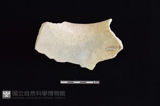 陶罐藏品圖，第1張