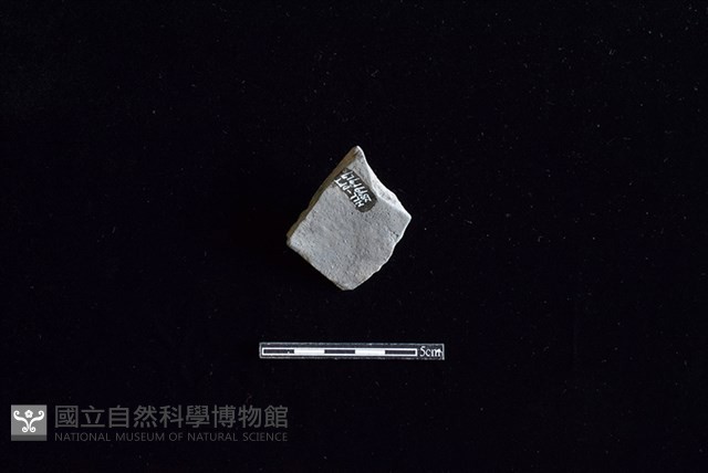 陶片藏品圖，第2張