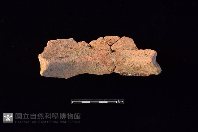 陶罐藏品圖，第2張