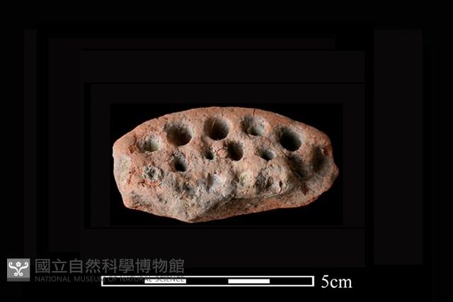 蜂房形器藏品圖，第2張