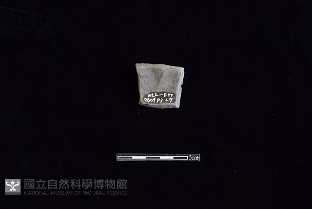 陶片藏品圖，第2張