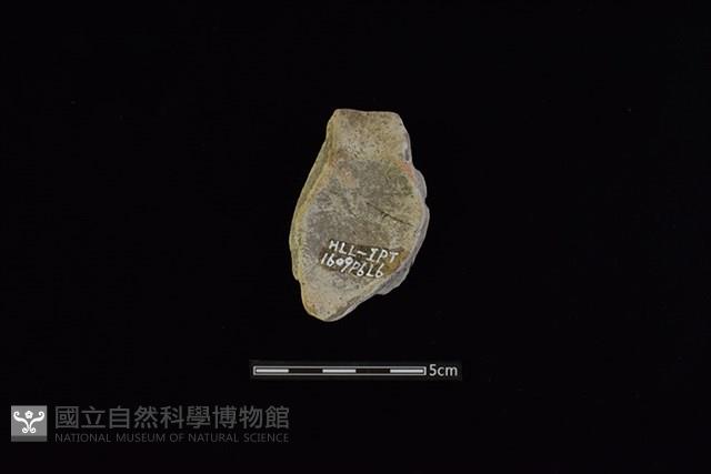 陶罐藏品圖，第1張