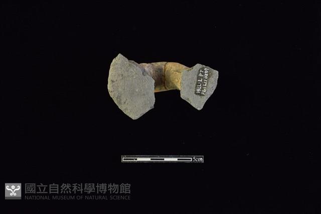 陶蓋藏品圖，第2張