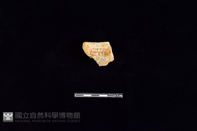 陶缽藏品圖，第2張