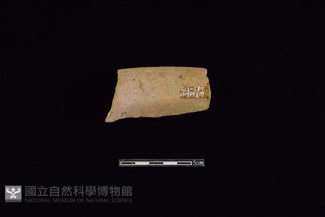 陶罐藏品圖，第2張