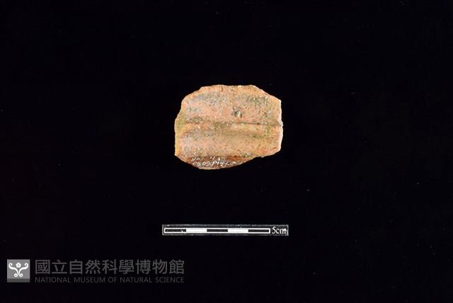 陶罐藏品圖，第2張