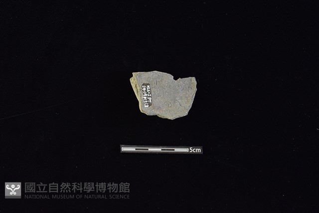 陶片藏品圖，第2張