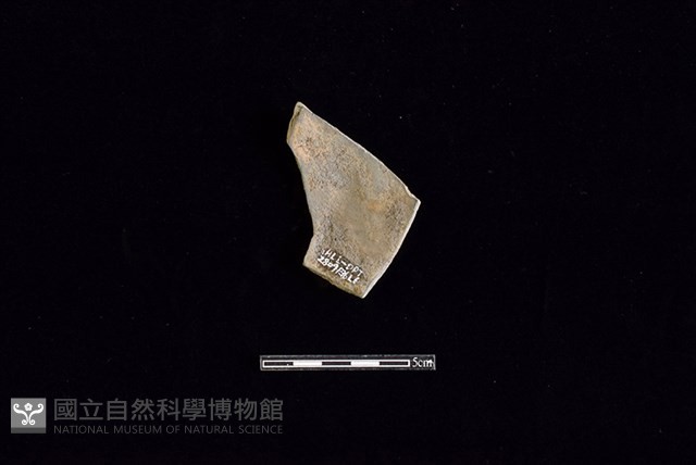 陶片藏品圖，第2張
