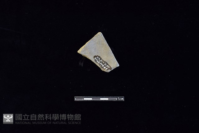 陶片藏品圖，第2張