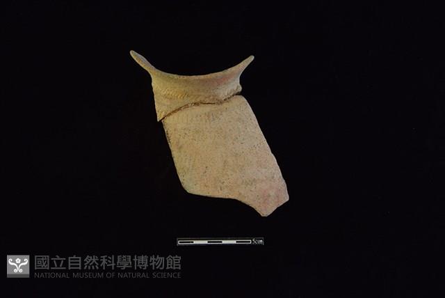 陶罐藏品圖，第2張