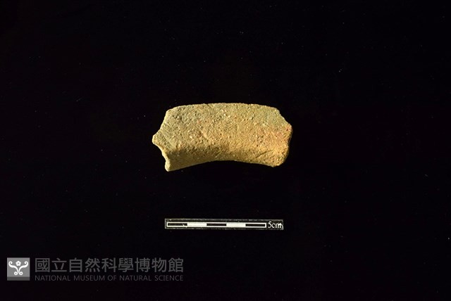 陶罐藏品圖，第2張