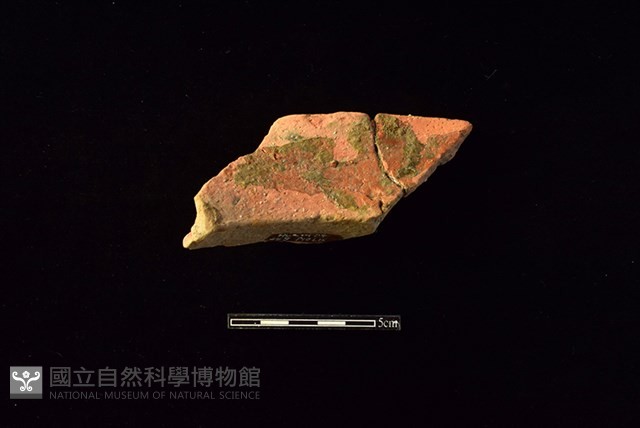 陶罐藏品圖，第2張