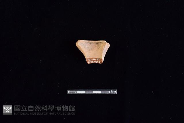 陶片藏品圖，第2張