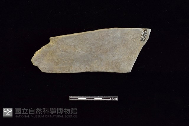 陶片藏品圖，第2張