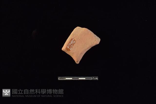 連杯形器藏品圖，第2張