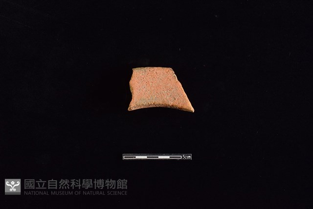 陶罐藏品圖，第2張