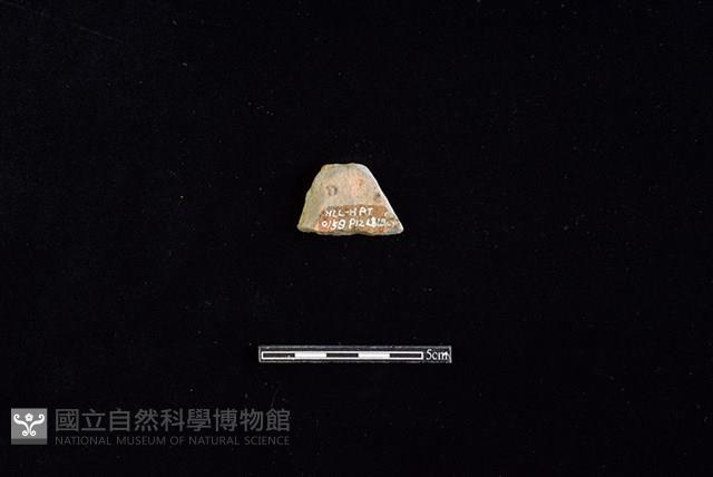 陶片藏品圖，第2張