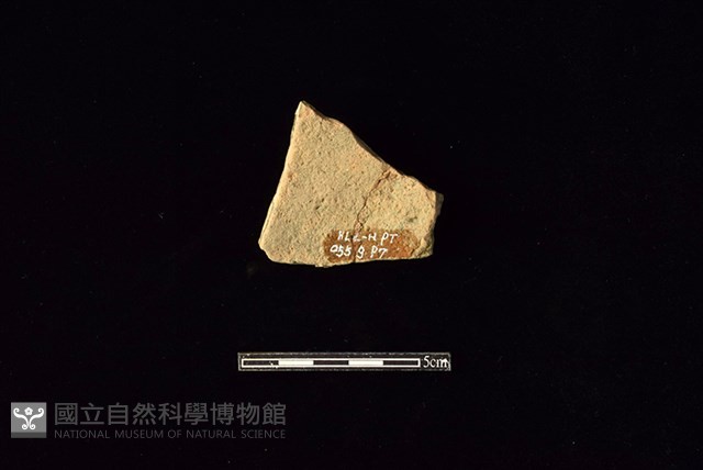 陶片藏品圖，第2張
